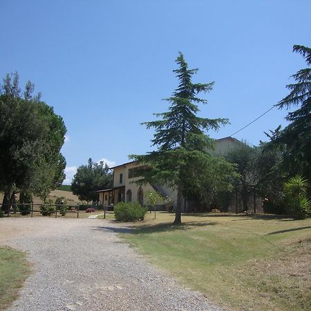 Agriturismo Podere Selvette Campagnatico Zewnętrze zdjęcie