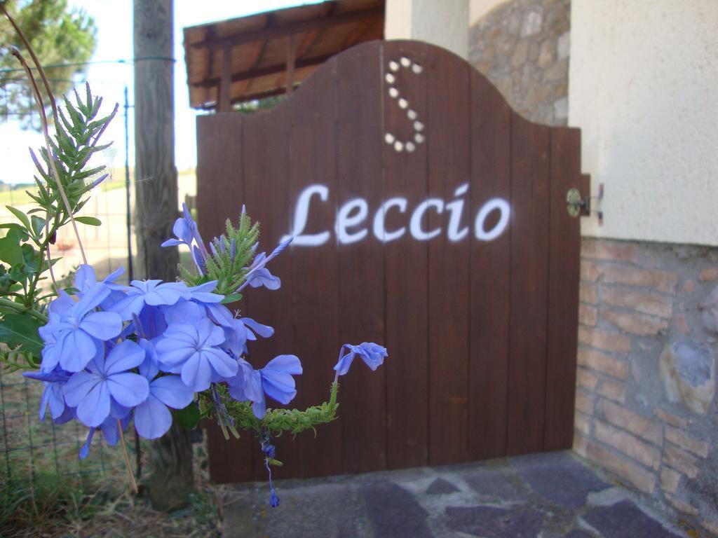 Agriturismo Podere Selvette Campagnatico Zewnętrze zdjęcie