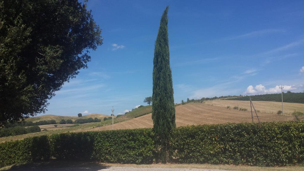 Agriturismo Podere Selvette Campagnatico Zewnętrze zdjęcie