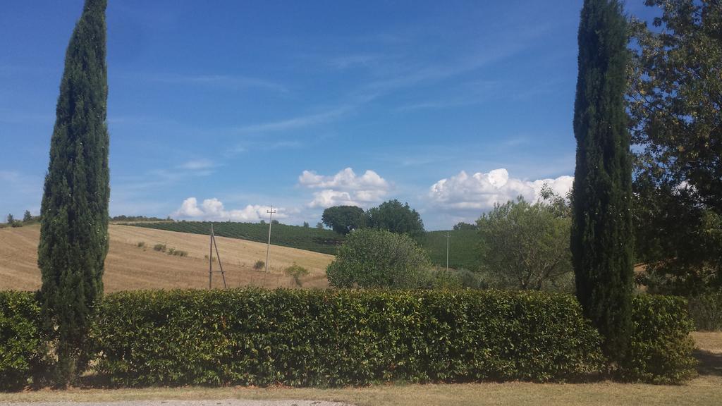 Agriturismo Podere Selvette Campagnatico Zewnętrze zdjęcie