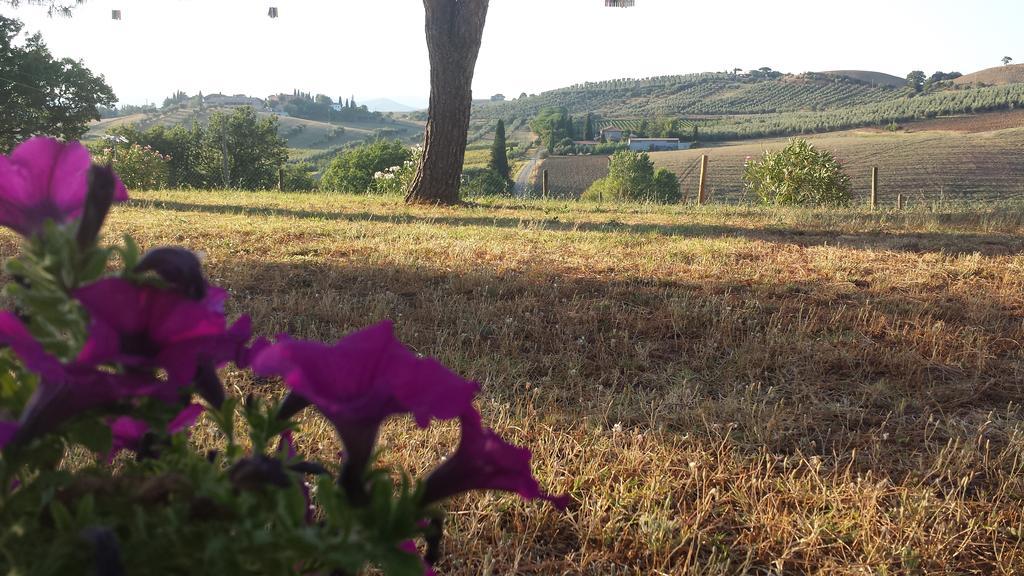 Agriturismo Podere Selvette Campagnatico Zewnętrze zdjęcie