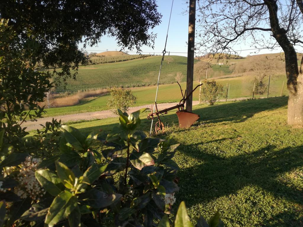 Agriturismo Podere Selvette Campagnatico Zewnętrze zdjęcie