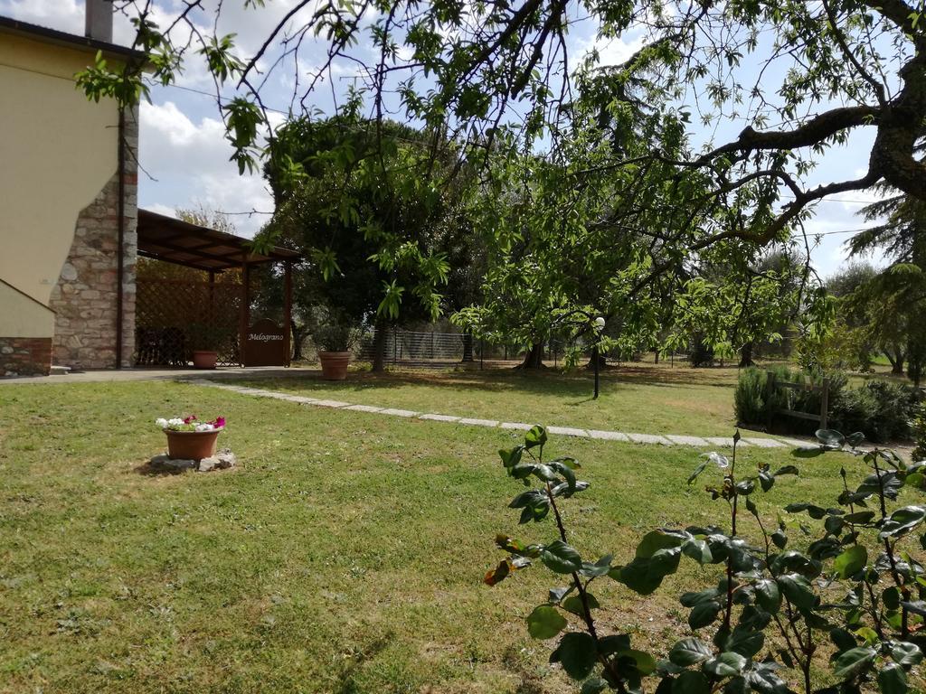 Agriturismo Podere Selvette Campagnatico Zewnętrze zdjęcie