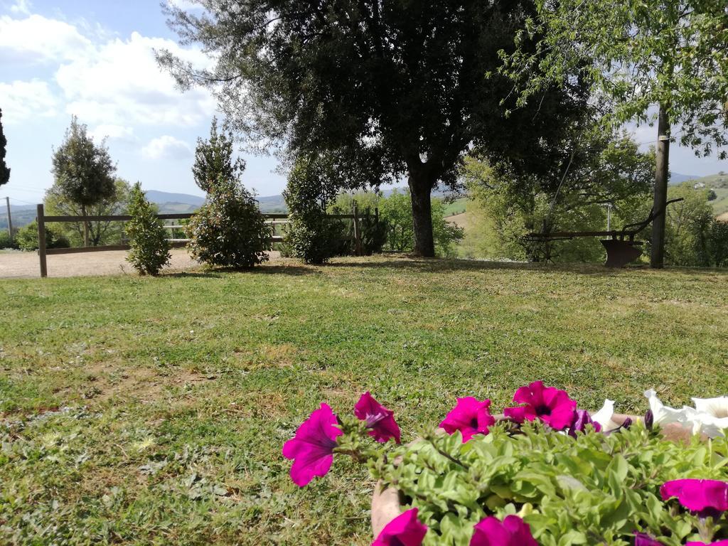 Agriturismo Podere Selvette Campagnatico Zewnętrze zdjęcie